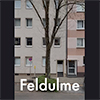 Feldulme Video_Eugen Bednarek