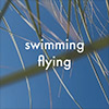 swimming flying swimming flying